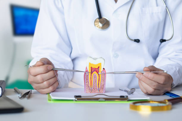 Best Tooth Infection Emergency Dentist  in Oaklawn Sunview, KS